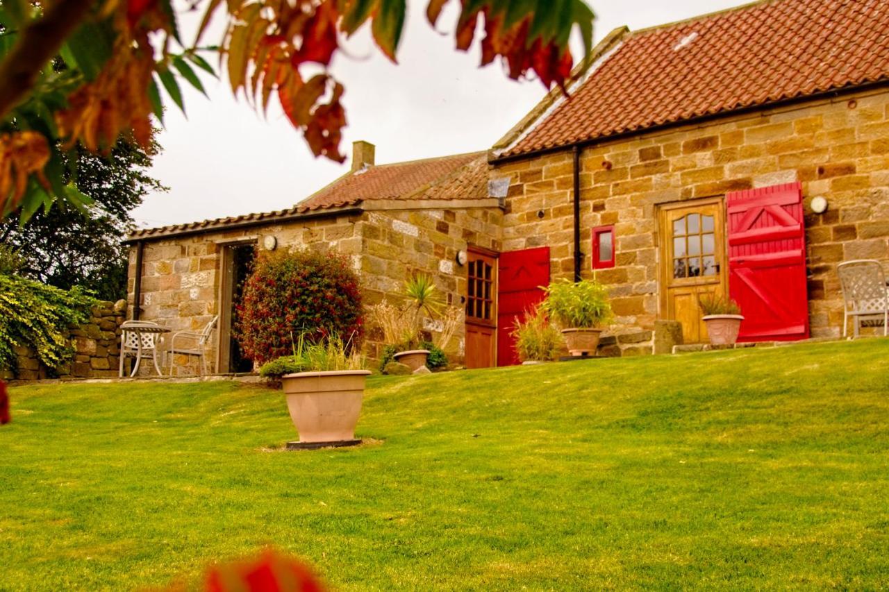Rosecombe, Borrowby Farm Cottages Staithes Exterior foto